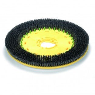 Brosse longlfe pour autolaveuse (TT6650) - 650MM Numatic - Clean Equipements